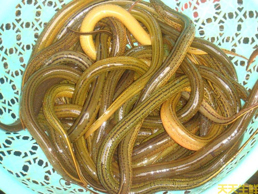 天气炎热吃什么好?广州蔬菜配送公司推荐你8种食材(图8) 天气炎热吃什么好?广州蔬菜配送公司推荐你8种食材(图8)