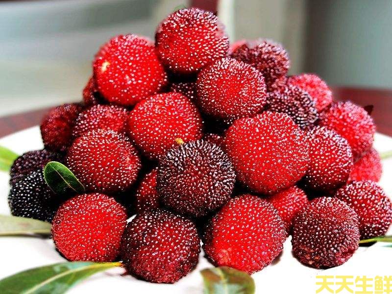 夏季炎热吃什么水果好?广州蔬菜配送公司分享6种消暑水果(图6) 夏季炎热吃什么水果好?广州蔬菜配送公司分享6种消暑水果(图6)