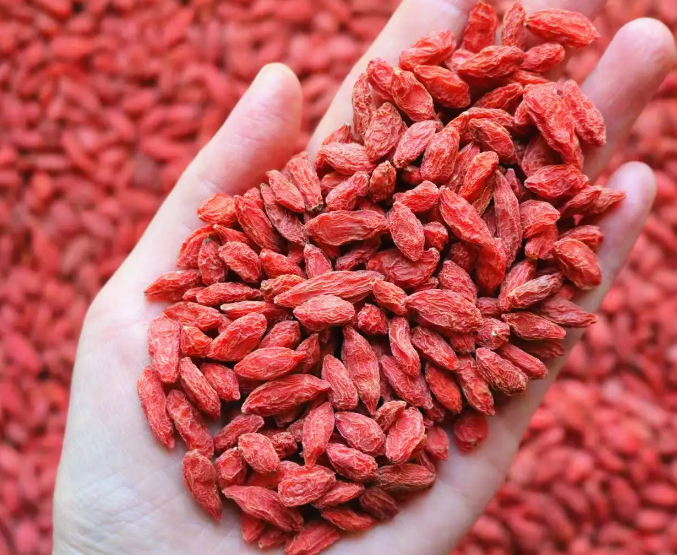 养生枸杞变“毒枸杞”伤了多少人的心(图1) 养生枸杞变“毒枸杞”伤了多少人的心(图1)