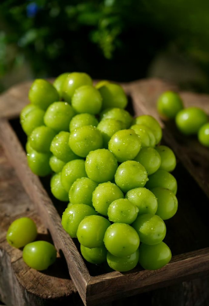 Ϊʲôõļ۸ôˣ(ͼ1)